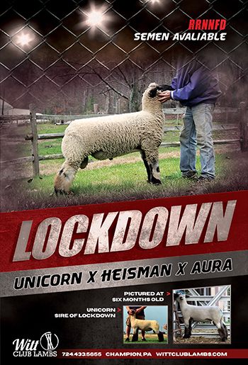 Lockdown