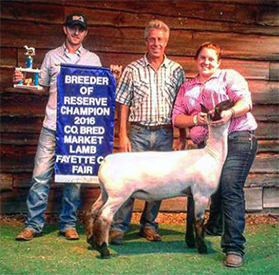 Winners