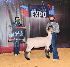 Witt Club Lambs Winner