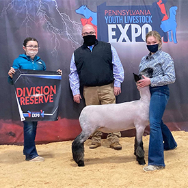 Witt Club Lambs Winner
