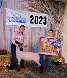 Witt Club Lambs Winners