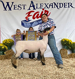Witt Club Lambs Winners
