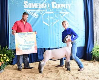 Witt Club Lambs Winners