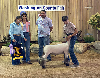 Witt Club Lambs Winners