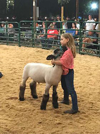 Witt Club Lambs Winners
