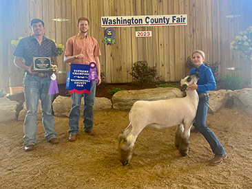 Witt Club Lambs Winners